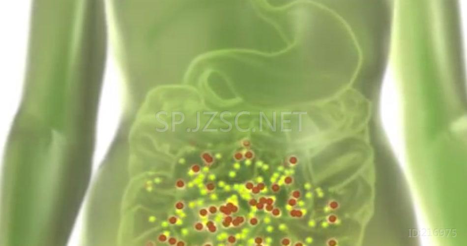 人体三维医学胃机理治疗药效医疗特效素材