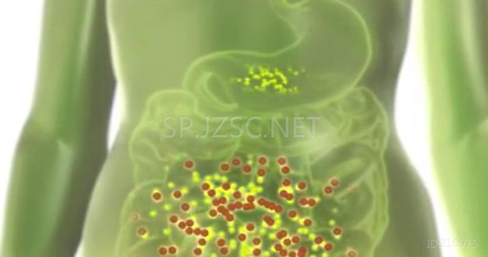 人体三维医学胃机理治疗药效医疗特效素材