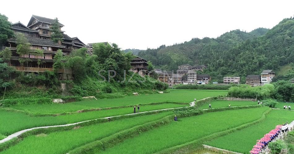 空中慢速掠拍少数民族村寨夏天田园活动实拍视频