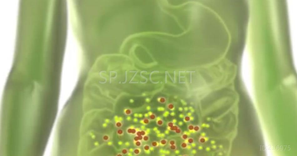 人体三维医学胃机理治疗药效医疗特效素材