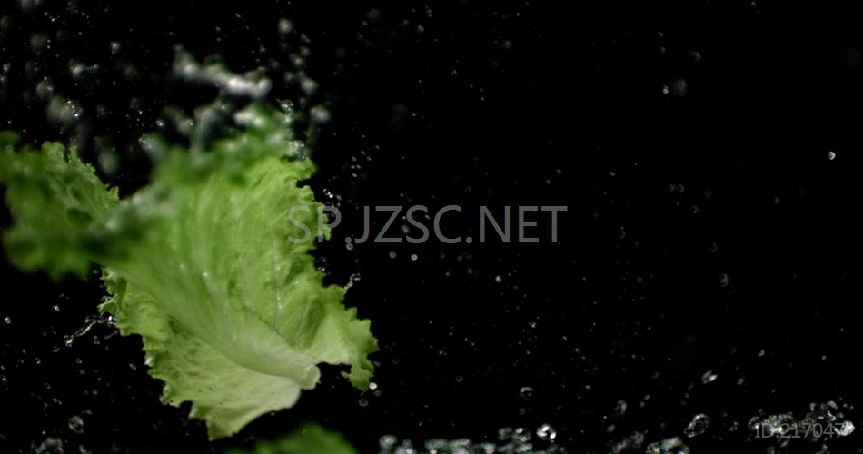 蔬菜 生菜 青菜 水滴02
