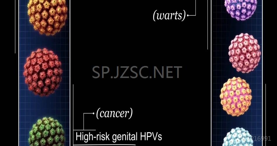 人乳头状瘤病毒（HPV）医疗动画视频素材