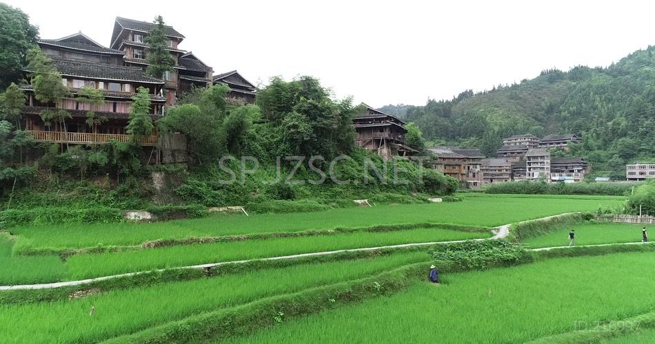 航拍夏天河边少数民族田园风光实拍视频