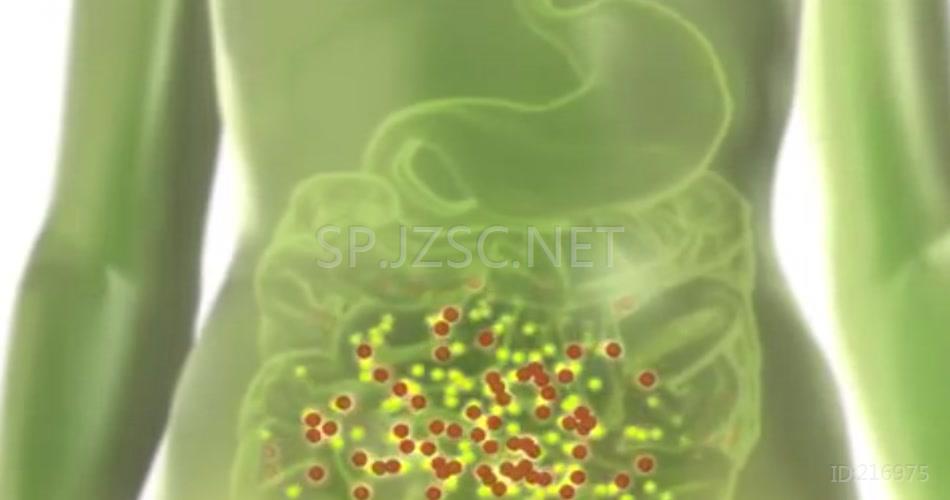 人体三维医学胃机理治疗药效医疗特效素材