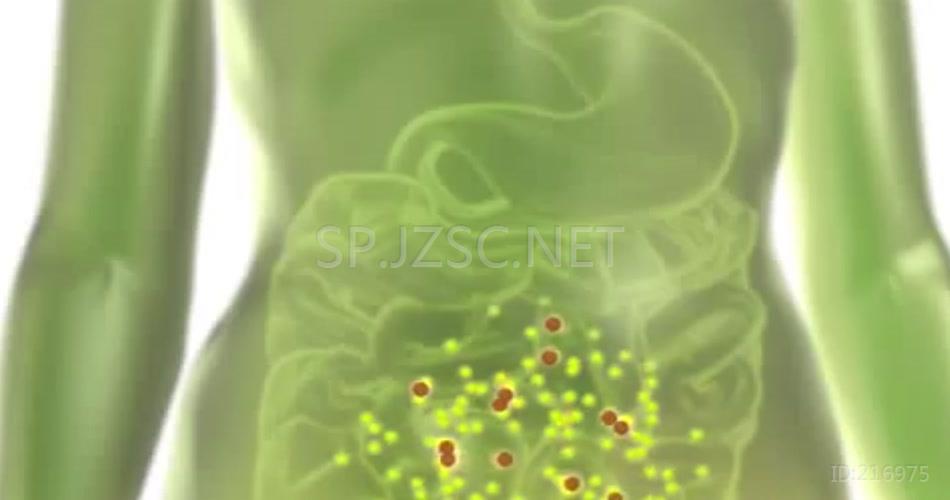 人体三维医学胃机理治疗药效医疗特效素材