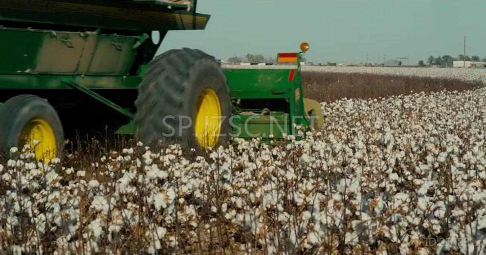 实拍采集棉花基地农业机械化生产视频素材